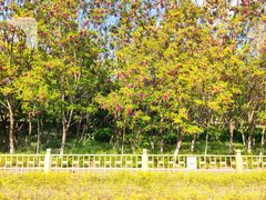 -国家植物园(地铁站)