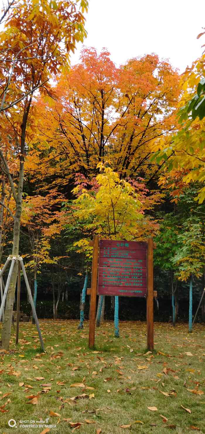 四方山植物園-