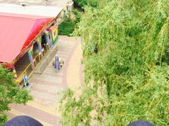 -朝阳公园游乐园