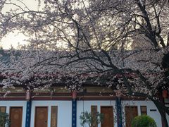 -大唐博相府酒店·陕西官府菜