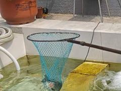 -回头客餐厅·家的味道农家菜·虹鳟鱼·铁锅炖(雁栖湖店)