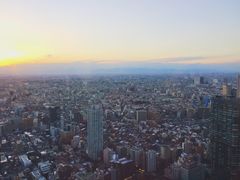 -东京都厅舍
