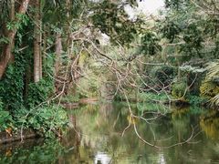 -海南热带野生动植物园
