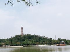 -顺峰山公园
