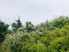 -妙峰山风景名胜区
