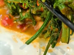 番茄炒水蕨菜-多哥水傣味餐厅(司马巷店)