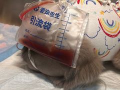 -初心动物医院