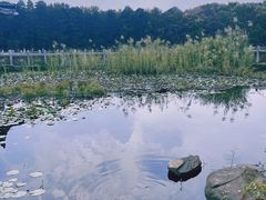 -东湖听涛景区