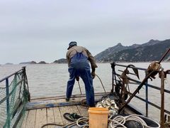 -大京沙滩