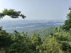 -紫金山山顶公园