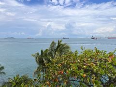 -巴拉湾海滩