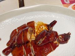 -点都德·毕德寮