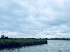 -宁波杭州湾国家湿地公园
