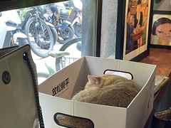 -咖法森林·咖啡  酒吧(天河店)