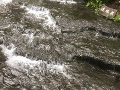 -峡谷浮石林景区