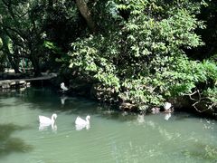 -兰亭风景区