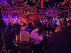 -周庄红庭演艺酒吧