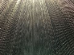 -张之洞与武汉博物馆