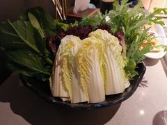 -渡娘火锅(大兴大悦春风里店)