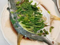 -大班家政月嫂育儿嫂(广州NO.1店)