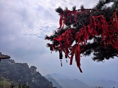 -泰山风景名胜区