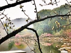 -白马涧龙池景区