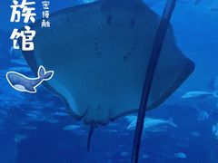 -杭州长乔极地海洋公园