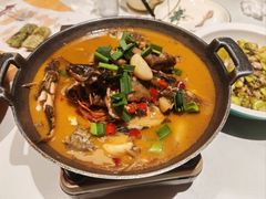 -阿露佳·舌尖上的安吉菜