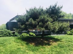 -同里国家湿地公园