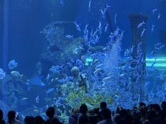 -波塞冬旅游度假区