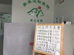 -美美宠物诊疗中心·异宠·骨科(滨江东信分院)