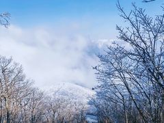 -安吉龙王山风景区