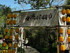 -西溪国家湿地公园