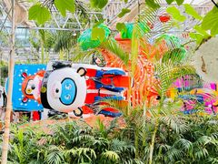 -南宫五洲植物乐园