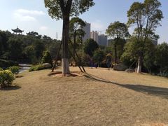 -八仙山公园