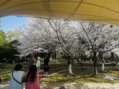 -江南大学(蠡湖校区)