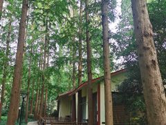 -上海怡沁园度假酒店