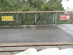 -金鸡山公园