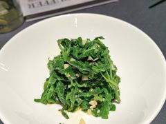 凉拌桑叶尖-肆月河豚·淮扬菜·湘菜(华天店)