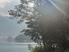 -广州市流溪河国家森林公园