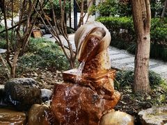 -张家港金凤凰度假村温泉