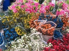 -循礼门鲜花花市(武汉循礼门店)