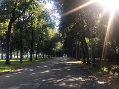 -莫斯科大学