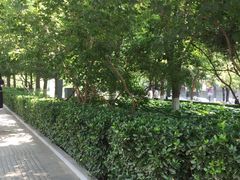 -皇城根遗址公园-东安门遗址