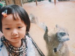 -杭州野生动物世界