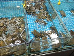 -都斛海鲜街