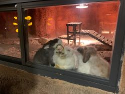 -酷嗒动物文化乐园(cutezoo西溪乐天城店)