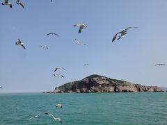 -海驴岛(荣成市)