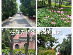 -青岛海滨风景区