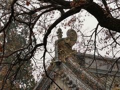 -潭柘寺景区